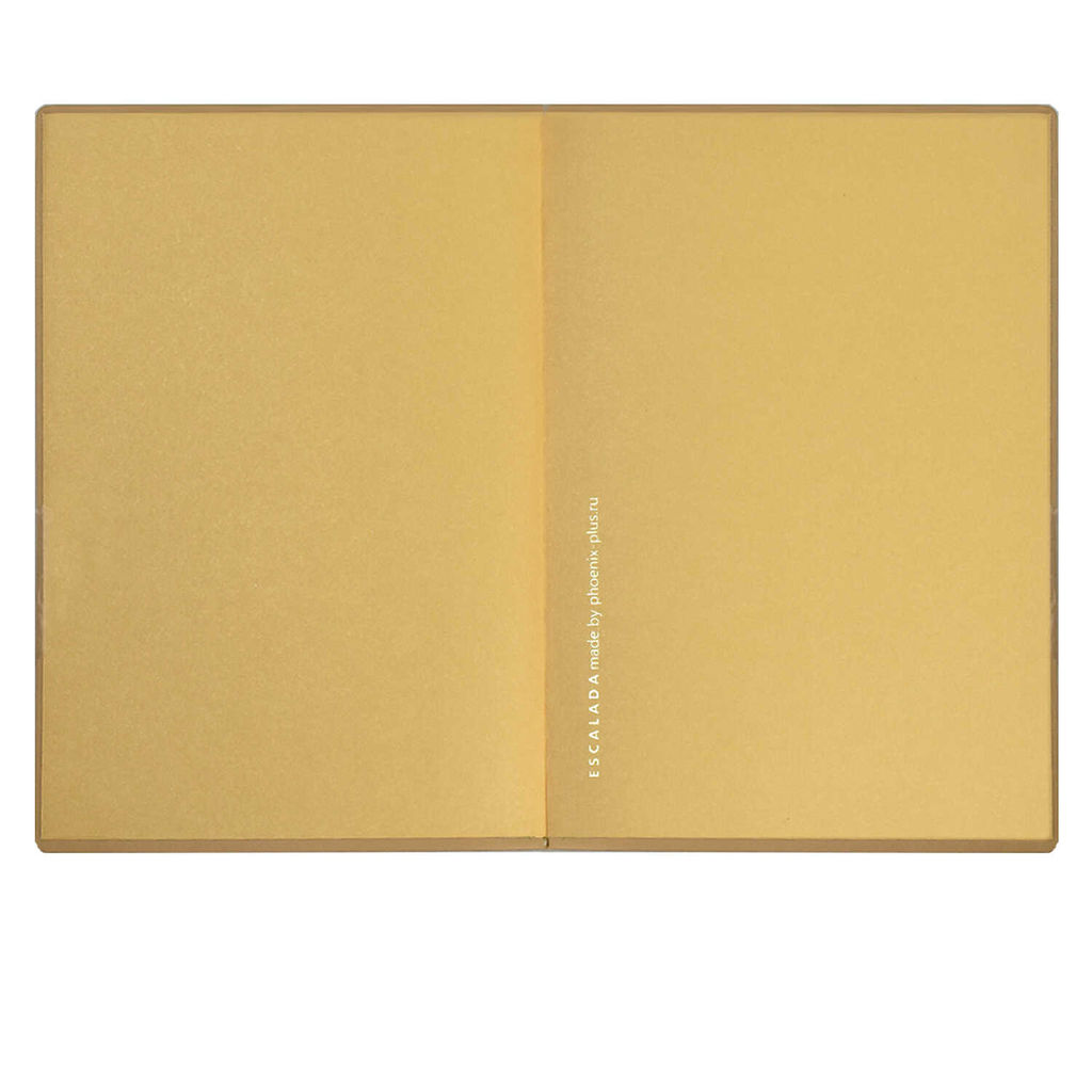 Ежедневник недатированный ESCALADA, А6+, 160 л., арт. 64220/ 20 КРОКО МЕТАЛЛИК ЗОЛОТОЙ  фото 3