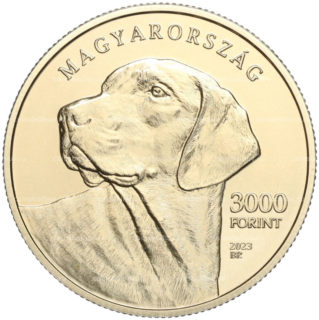3000 форинтов 2023 года Венгрия Трансильванская гончая