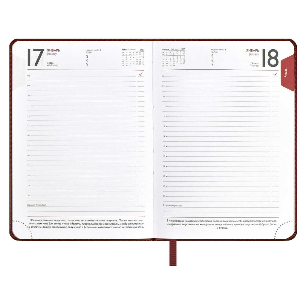 Ежедневник датированный 2024 ESCALADA, А6+, 176 л., арт. 63787/ 20 САРИФ КОРИЧНЕВЫЙ  фото 10