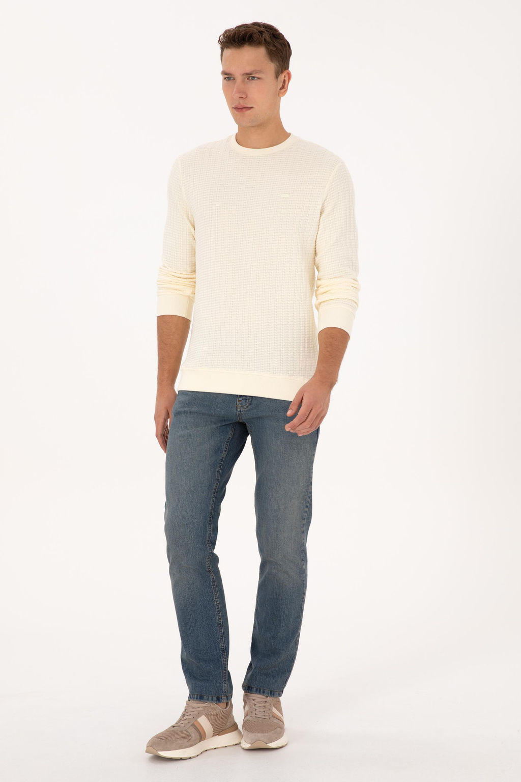 Erkek Regular Fit Bisiklet Yaka Desenli Krem Sweatshirt