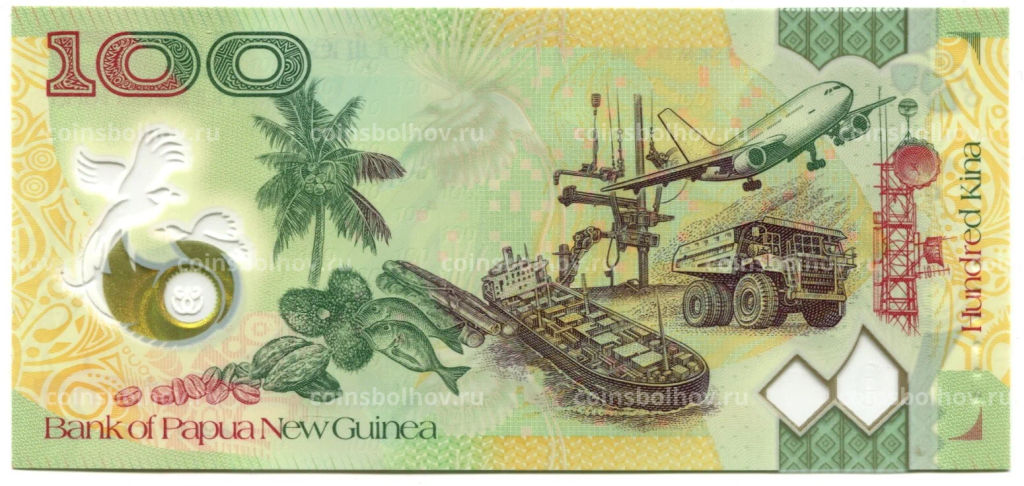 Банкнота 100 кина 2018 года Папуа  Новая Гвинея