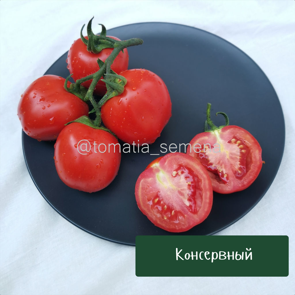 Консервный - Tomatia фото 2