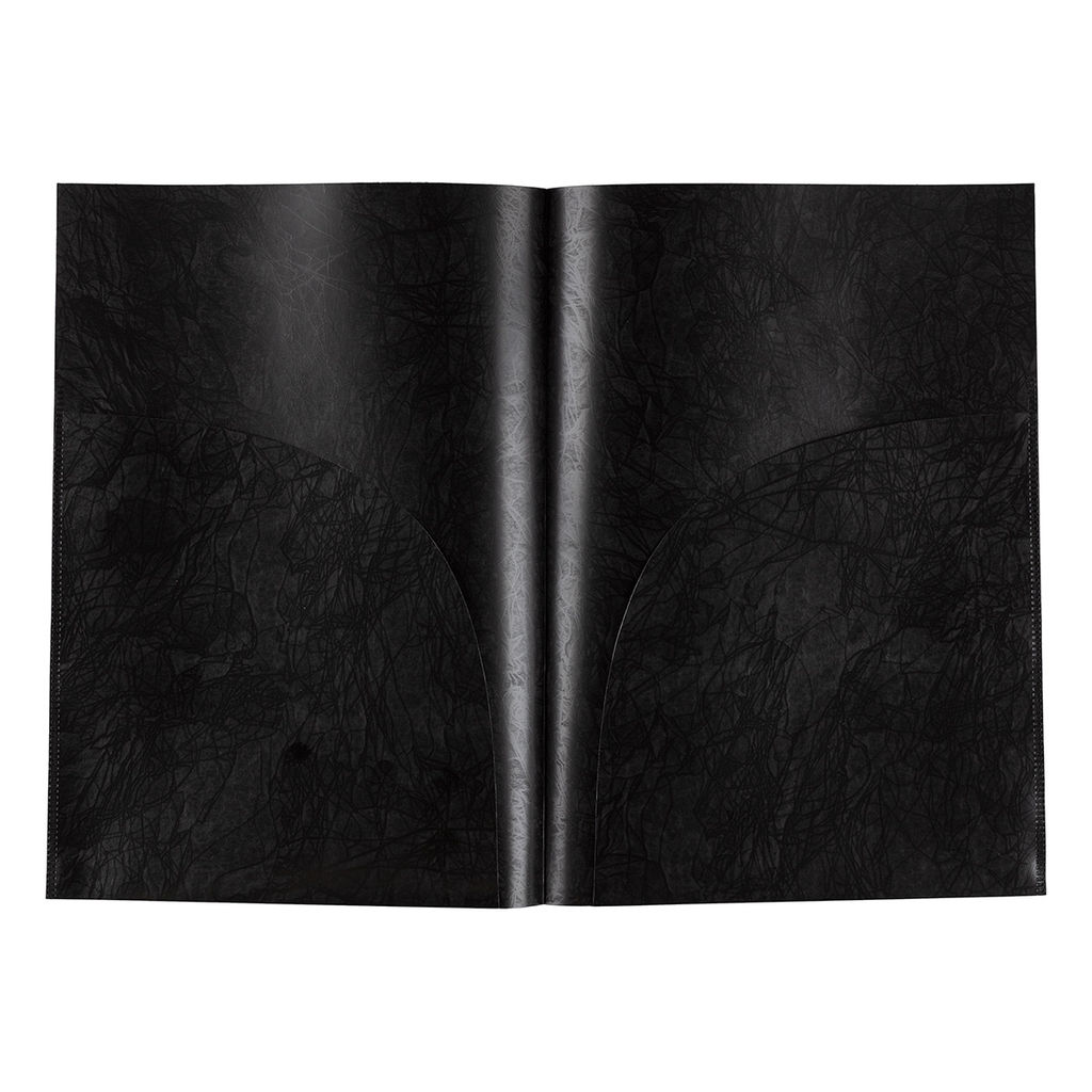 Expert Complete Premier Папка-уголок (2 кармана) A4 180 мкм волокно 20 шт. черный new EC21230001