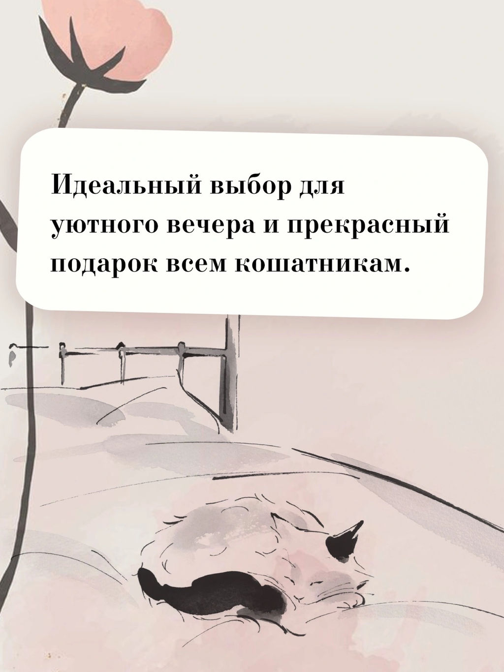 Хроники странствующего кота. Арикава Х. - Азбука фото 6