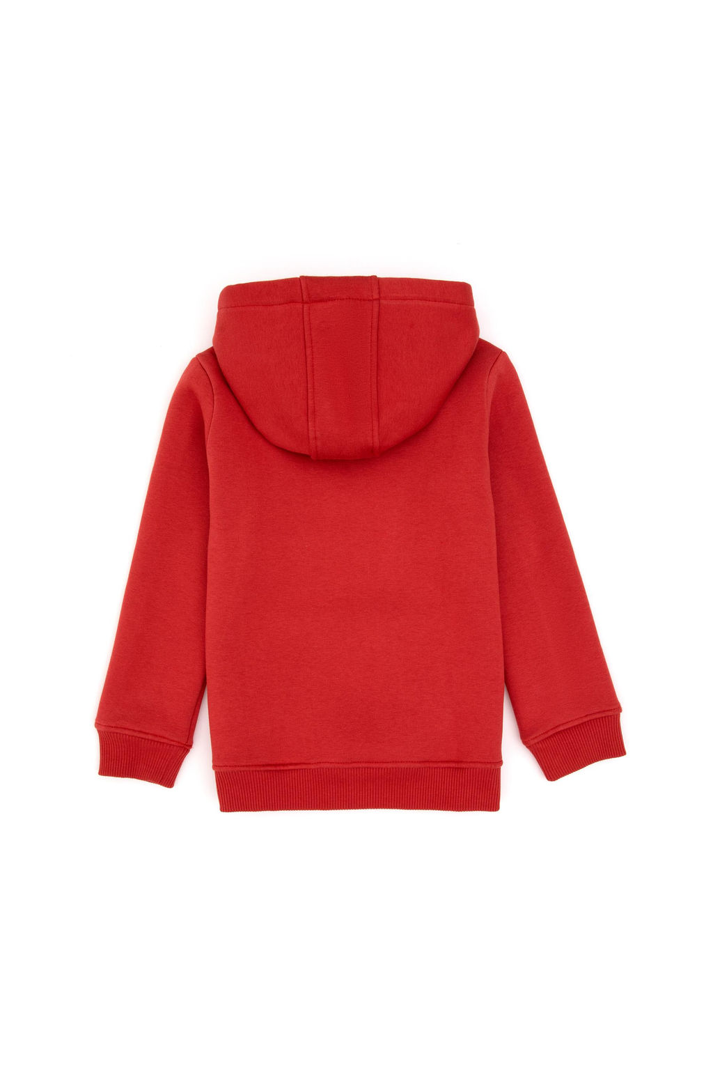 K_z _ocuk G_l Kurusu Kap__onlu _ardonlu Basic Sweatshirt Sepette S_rpriz _ndirim - U.s. polo assn фото 2