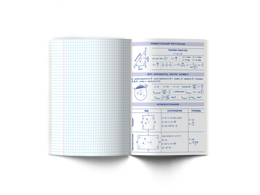 Светоч 48ТПСК5_126_2_1 Тетрадь со справочным материалом Линия успеха, софт тач ламинация + тиснение фольгой, A5 48 л. на скобе 65 г/кв.м , белизна 100 % 10 шт. , клетка 000574 Геометрия фото 6