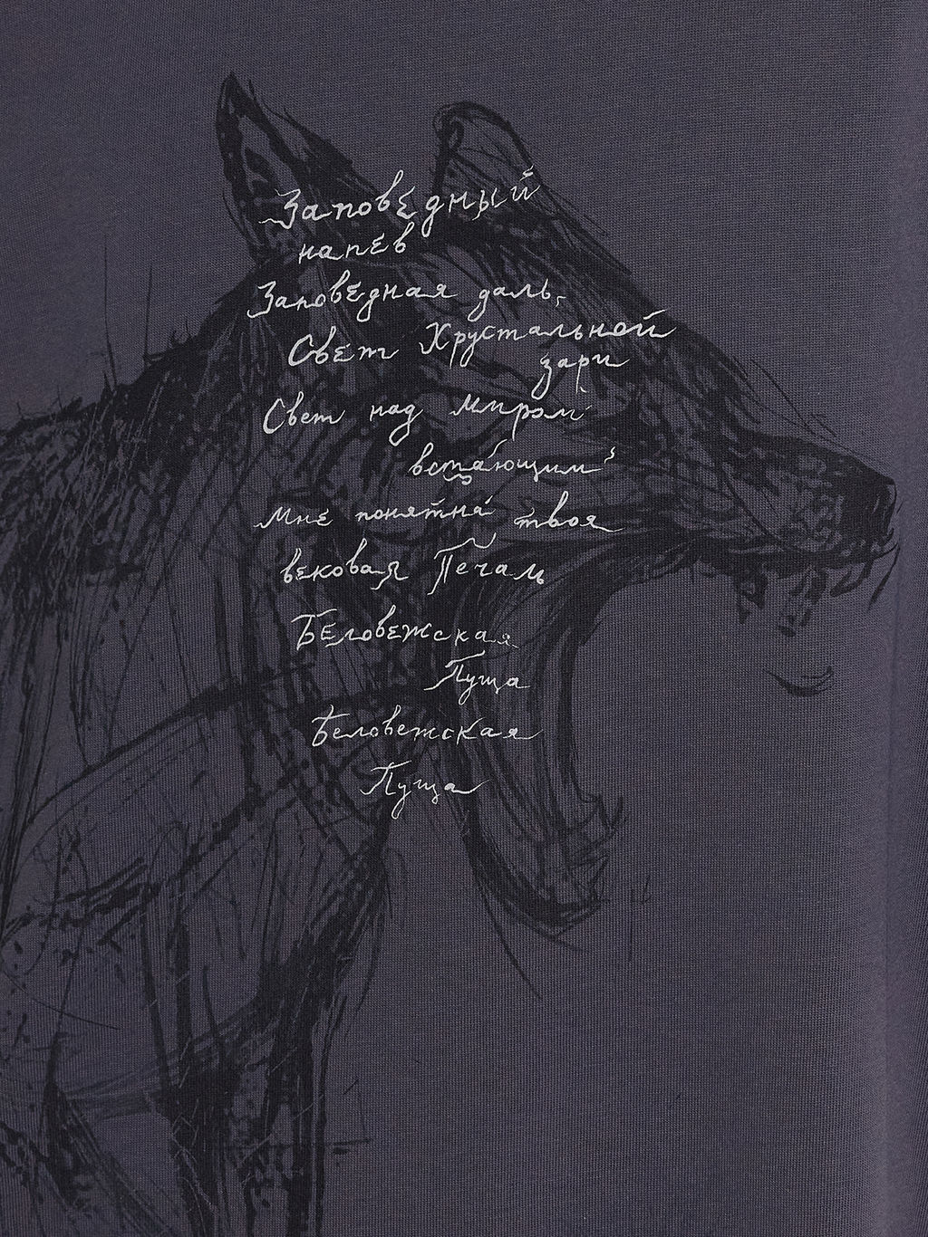 Футболка мужская серая с принтом "Беловежская пуща" сталь +печать 111892