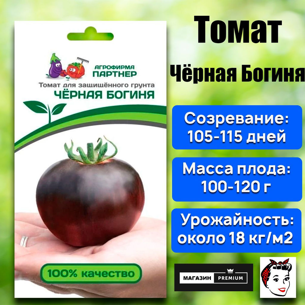 3249P Томат ЧЕРНАЯ БОГИНЯ 10шт