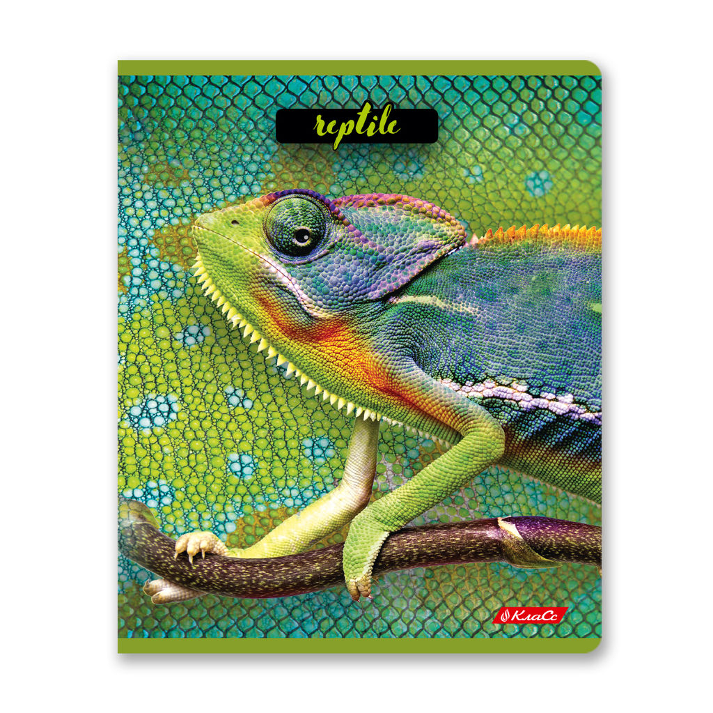 Светоч 80ТСК5_8_2_1 Тетрадь ученическая общая, твин лак, A5 80 л. на скобе 65 г/кв.м , белизна 100 % 5 шт. клетка 000487 Рептилии  фото 5