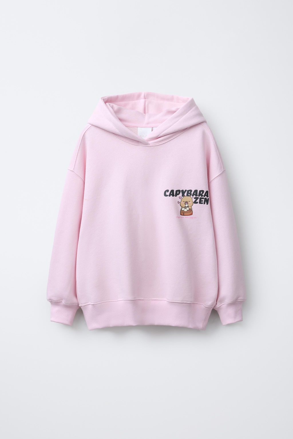 CAPYBARA CAPYFUN  HOODIE