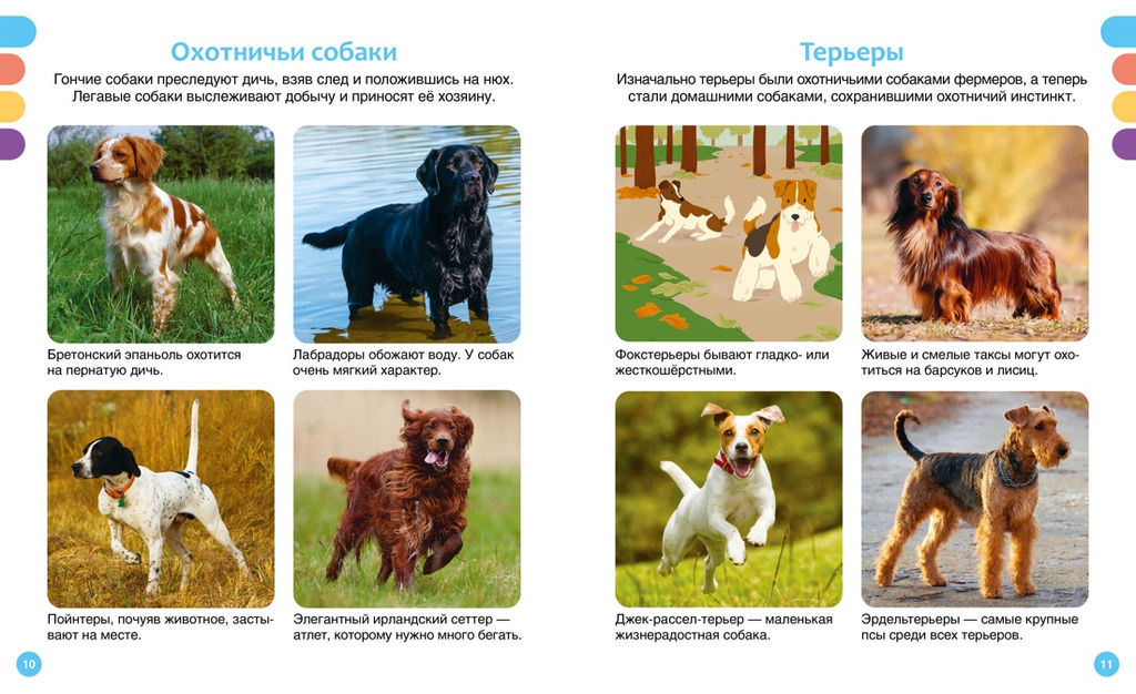 Любимые питомцы. Рени П. - Махаон фото 5