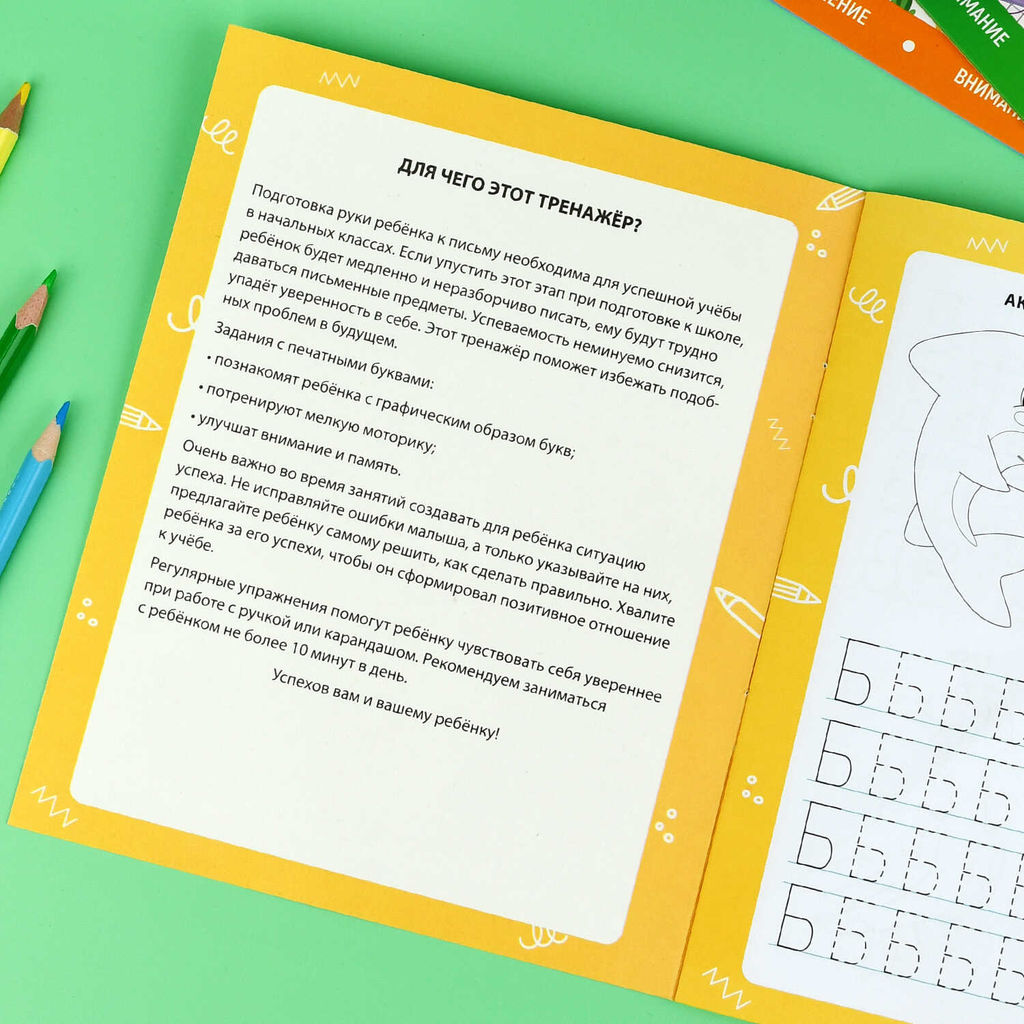 Книжка с заданиями для детей. Серия "Готовим руку к письму" арт. 72157 ПИШЕМ ПЕЧАТНЫЕ БУКВЫ /165?205 мм, 8 л., блок - офсет 100 г/м?, полноцветная печать, обл - мелованная бумага 170 г/м?, мягкий переплёт (2 скобы),
