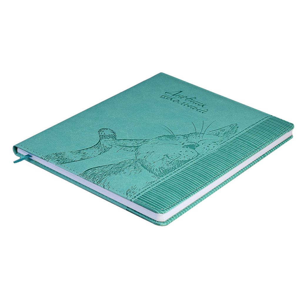 Дневник школьный арт. 58831 / 15 КОТ - Феникс+ фото 3