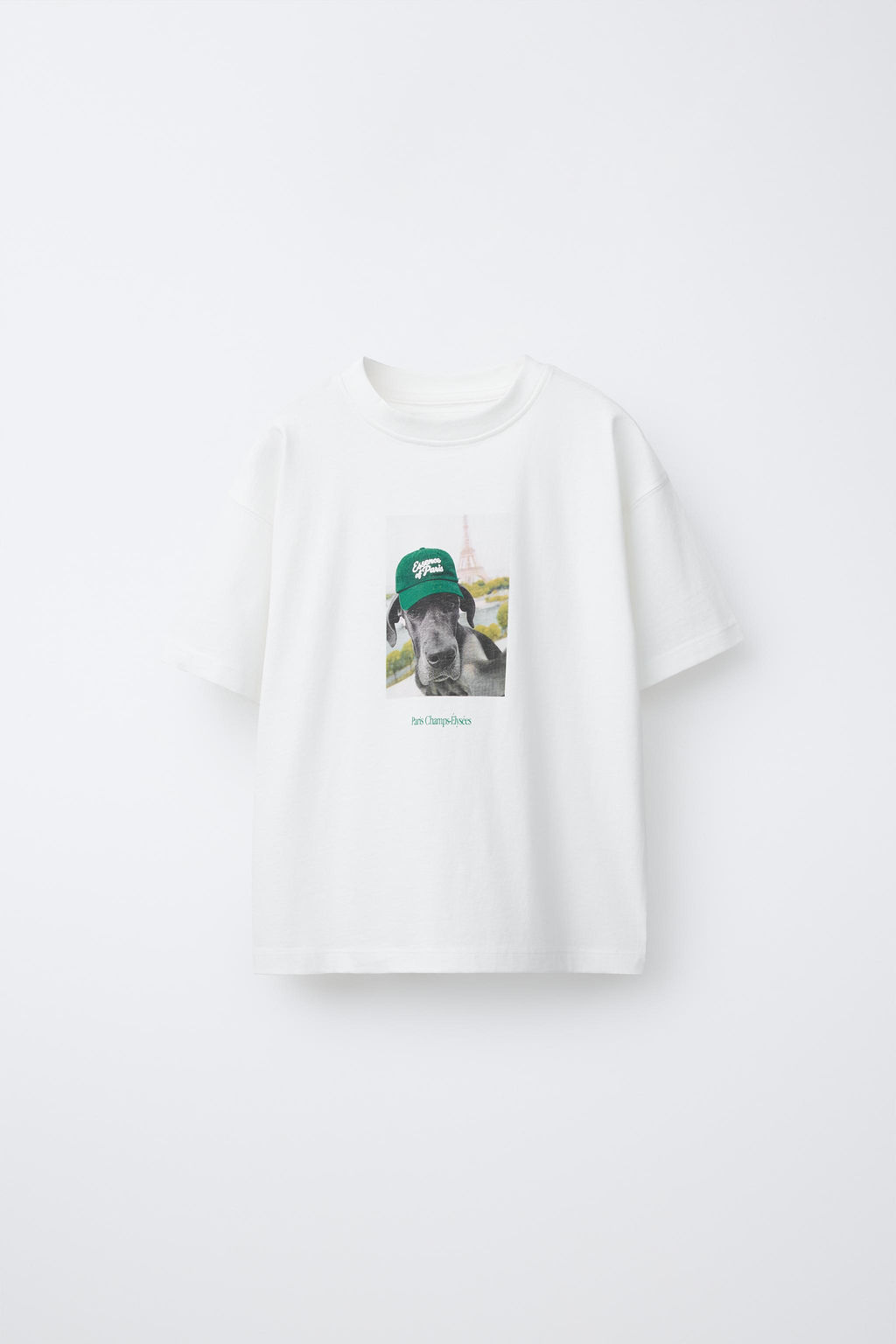 DOG PRINT T-SHIRT - Zara фото 7