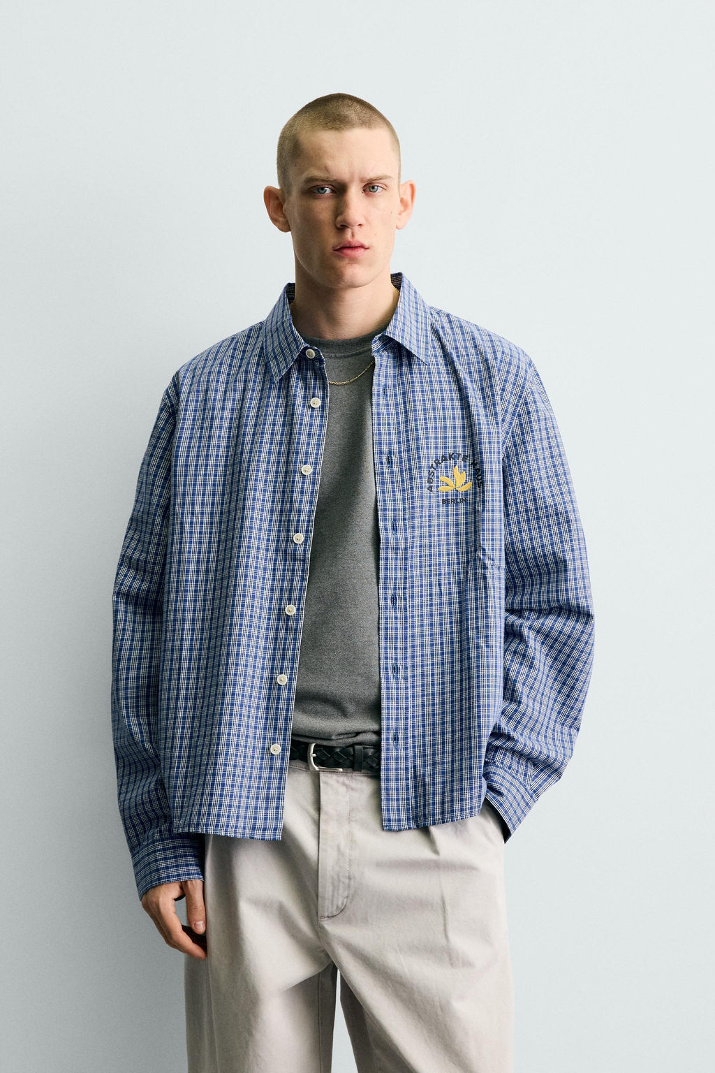 CAMISA CROPPED FIT CUADROS ESTAMPADO BORDADO / Azul - Zara фото 2