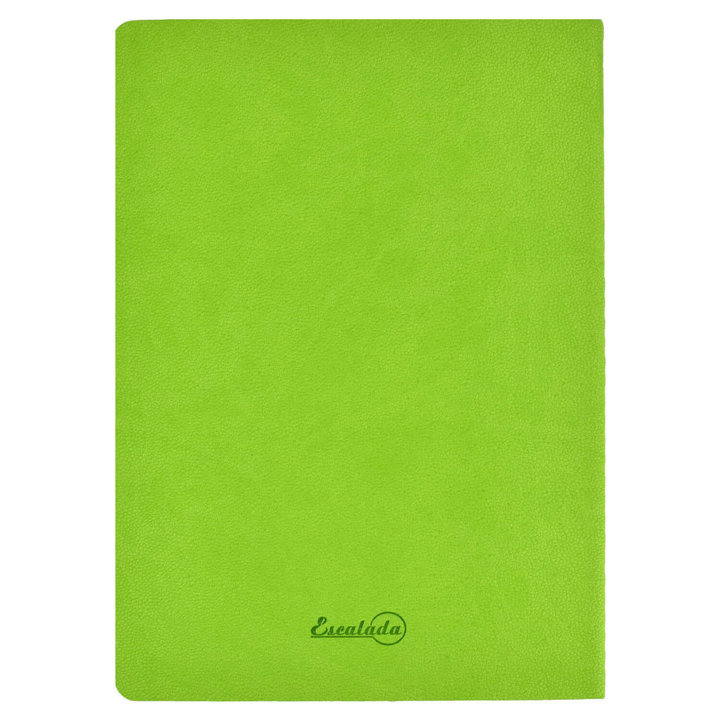 Записная книжка, А5+, арт. 52903/ 15 ШАГРЕНЬ ЗЕЛЁНЫЙ С АРОМАТОМ ЯБЛОКО - Феникс+ фото 12