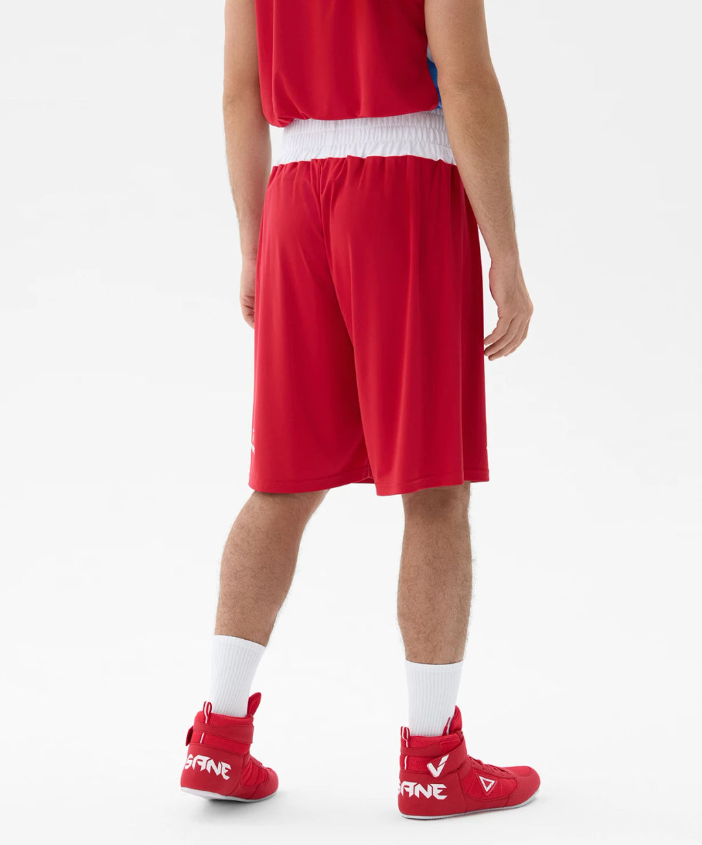 Шорты боксерские INSANE RBF IN25-BF700, красный  фото 6