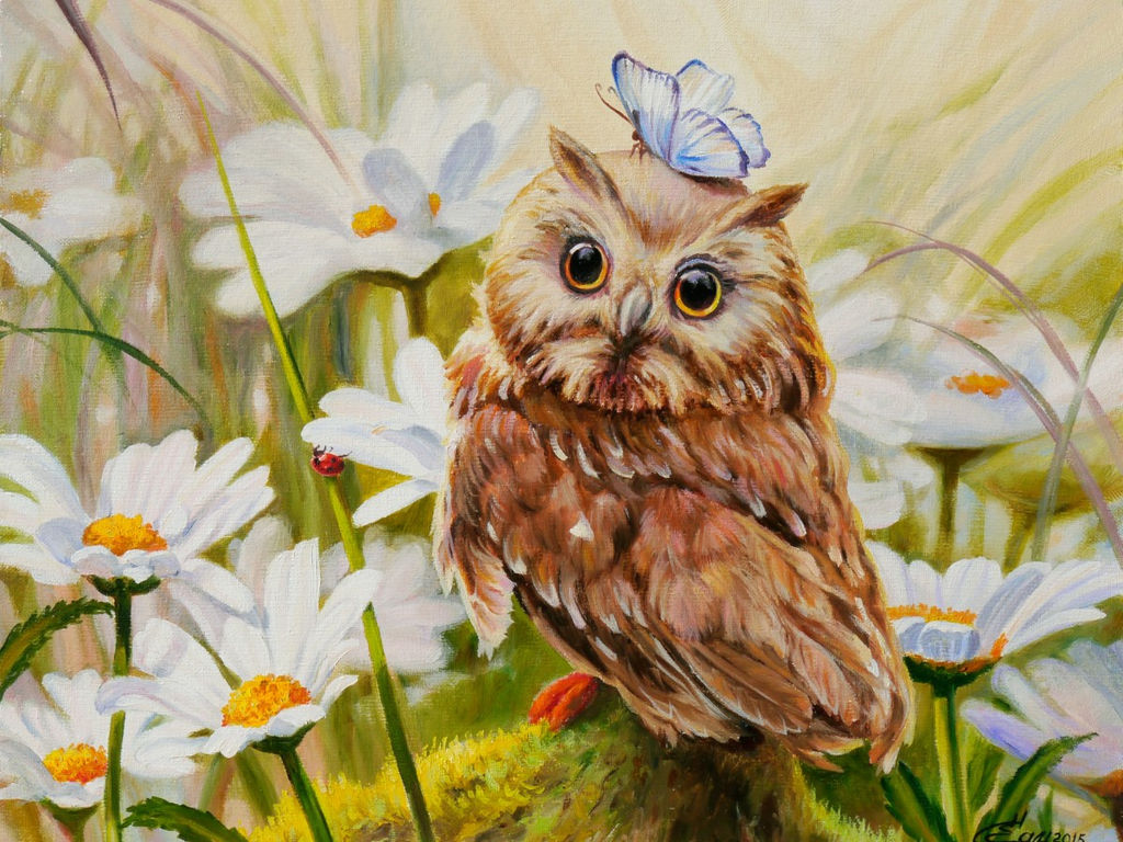 Вышивка крестиком 40х50см, Сова