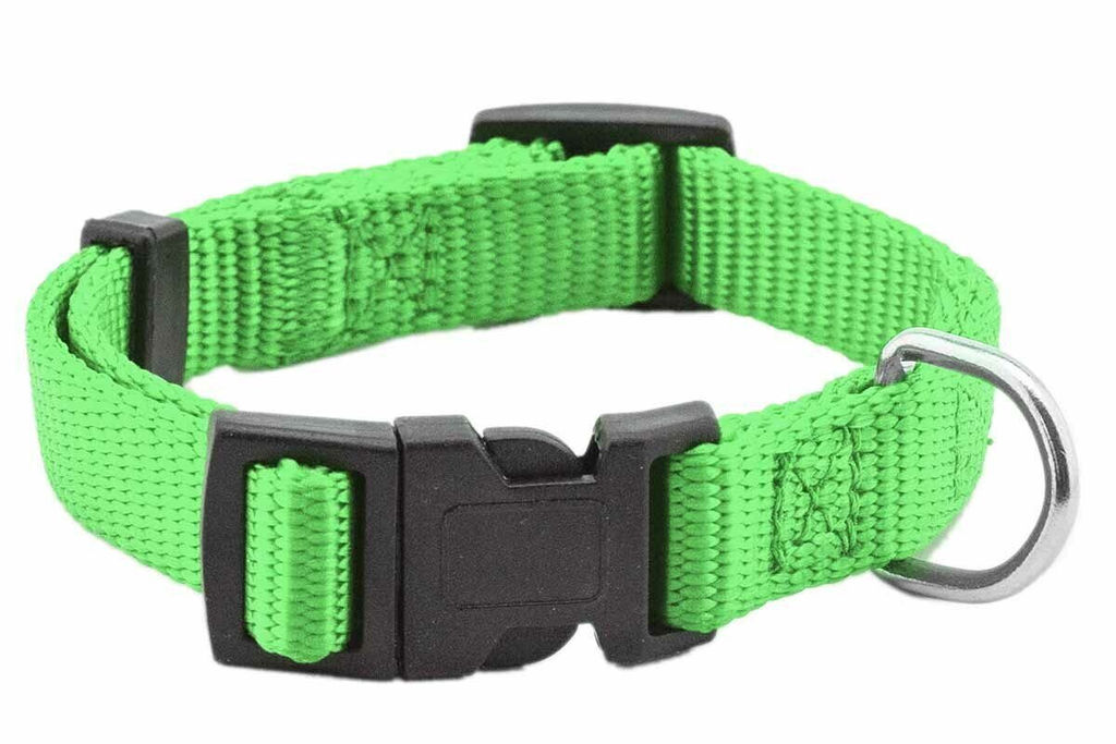Ошейник Редпл. синтет. Евро 20мм, обхват 30см-43см 011720салат