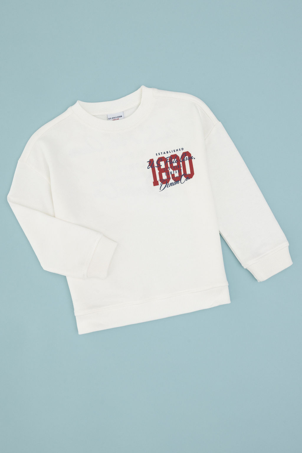 Erkek _ocuk Ekru Bisiklet Yaka Sweatshirt - U.s. polo assn фото 5