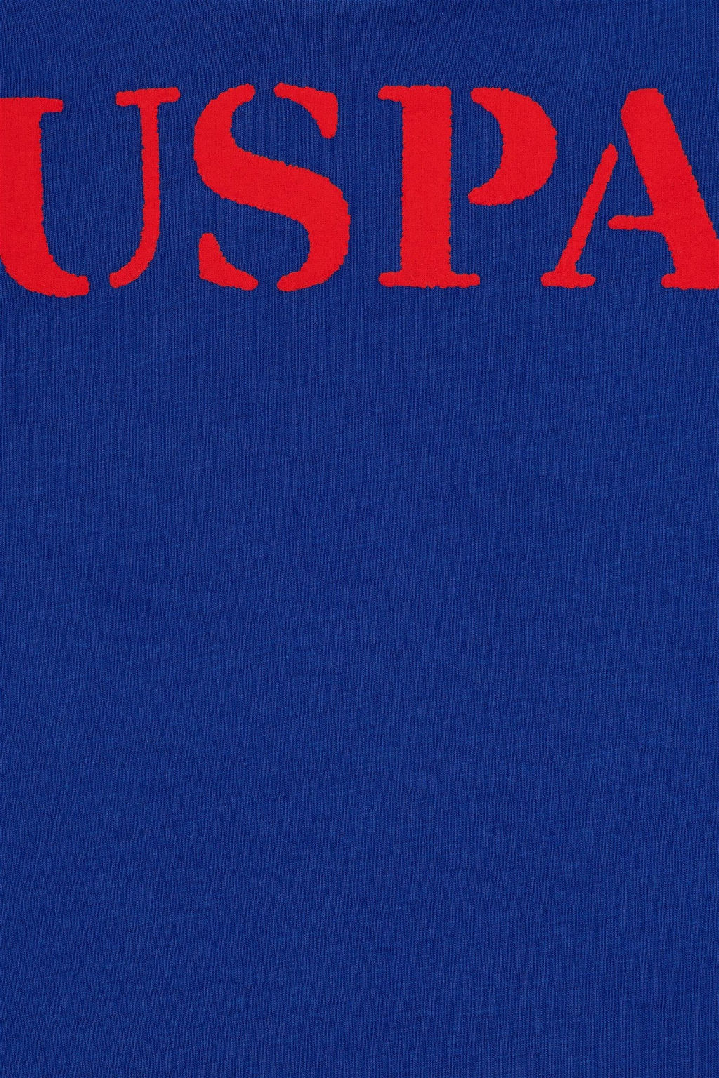 Синяя базовая футболка для мальчика - U.s. polo assn фото 4