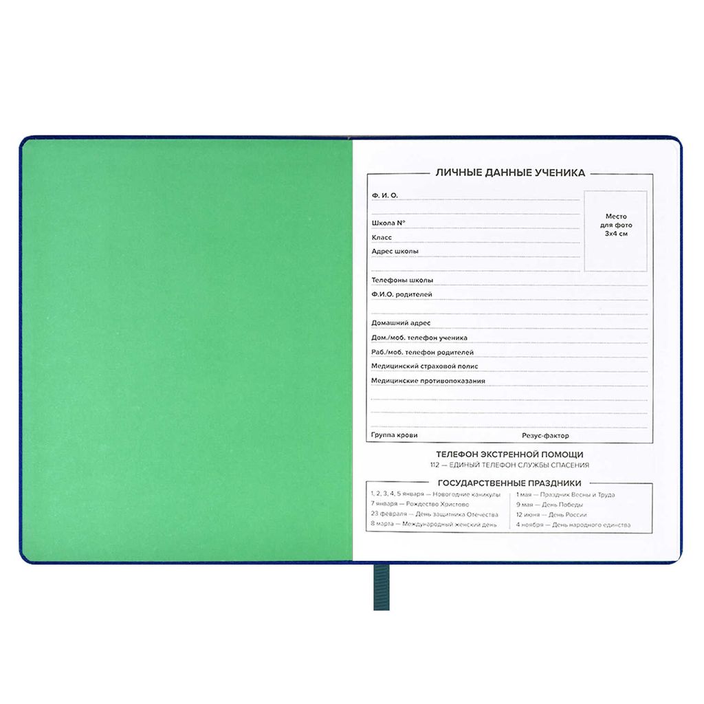 Дневник школьный арт. 58873 / 15 ПОП АРТ - Феникс+ фото 5