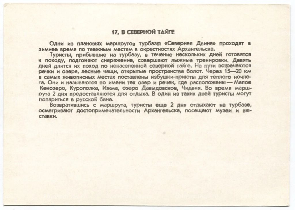 Открытка В северной тайге