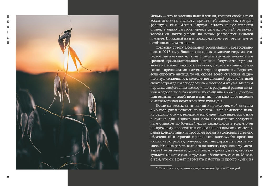 Японизм. Культовые книги японской философии и мудрости. Сборный комплект в коробе из 3 кн.. Ниими Лонгхёрст Э., Моги К. - Колибри фото 8