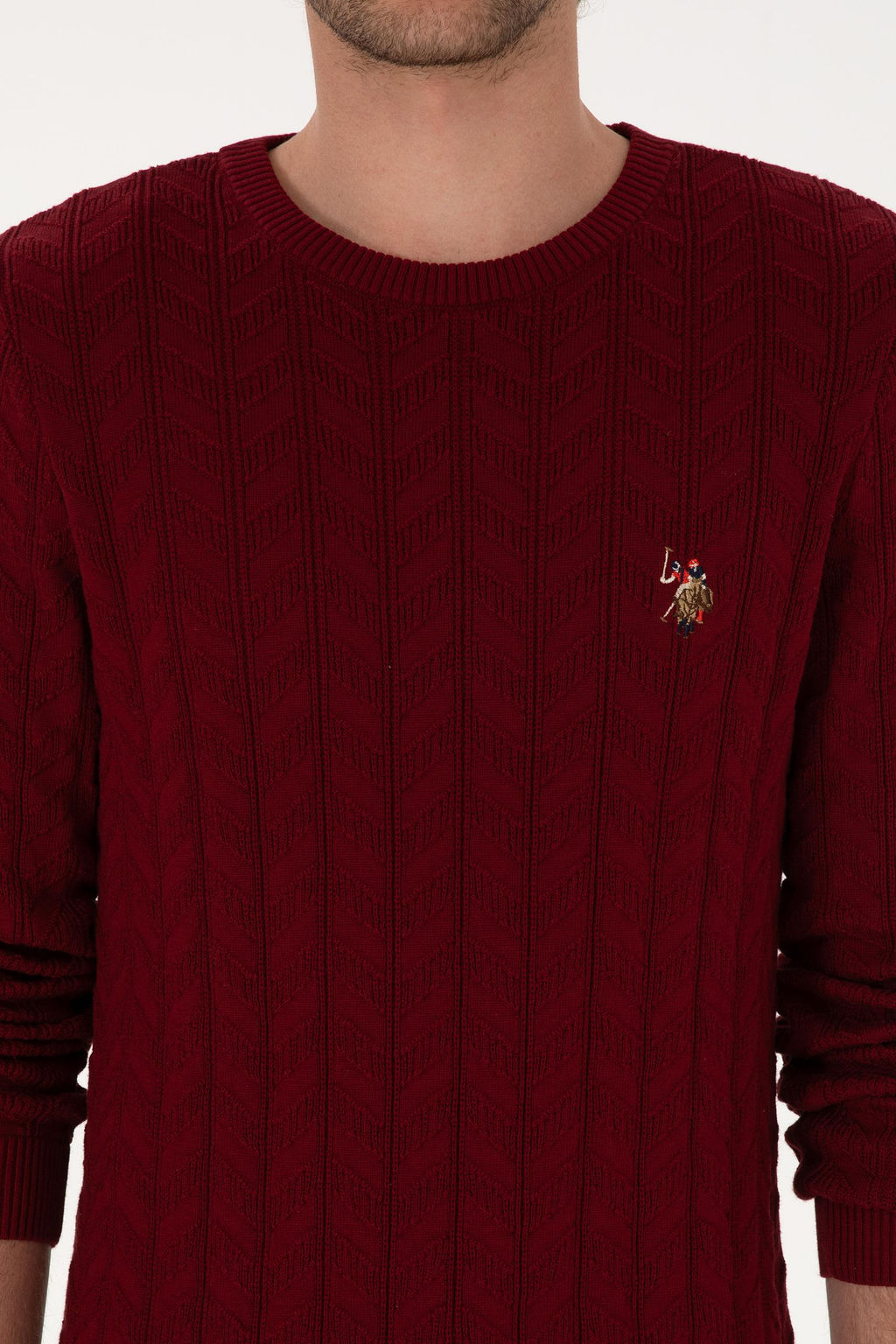 Erkek Slim Fit Bisiklet Yaka Desenli Bordo Kazak - U.s. polo assn фото 6