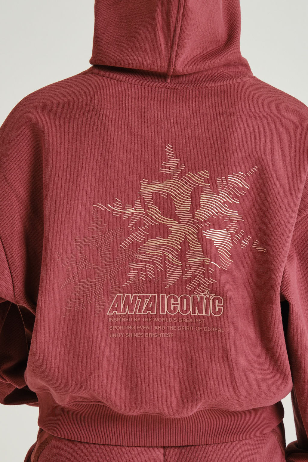 Худи утепленное Красный ICONIC Sweat Hoodie