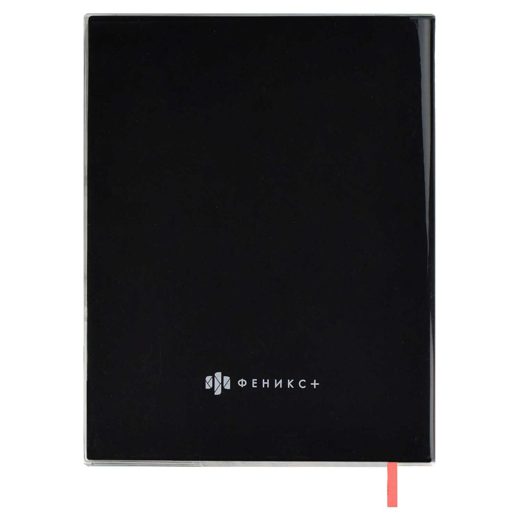 Дневник школьный арт. 58748 / 15 СПИЧКА - Феникс+ фото 9