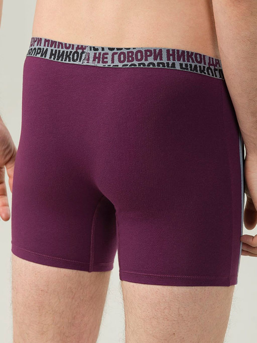 PELICAN, трусы мужские, Черника  фото 8