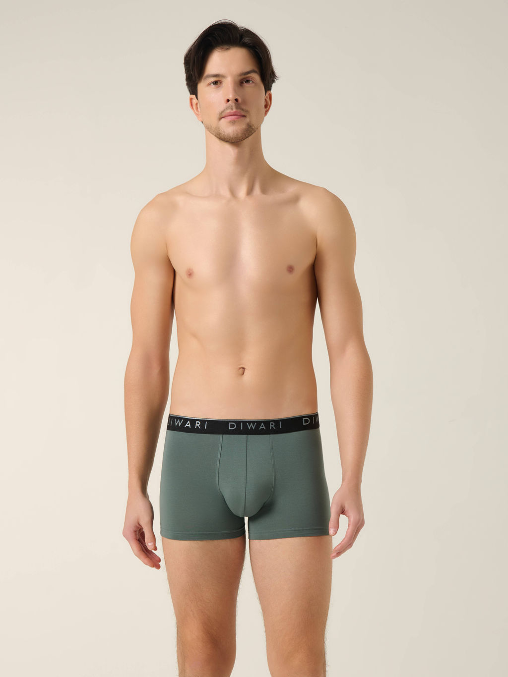 DIWARI PREMIUM MSH 1568 Трусы мужские (бандероль) stormy green-silver black