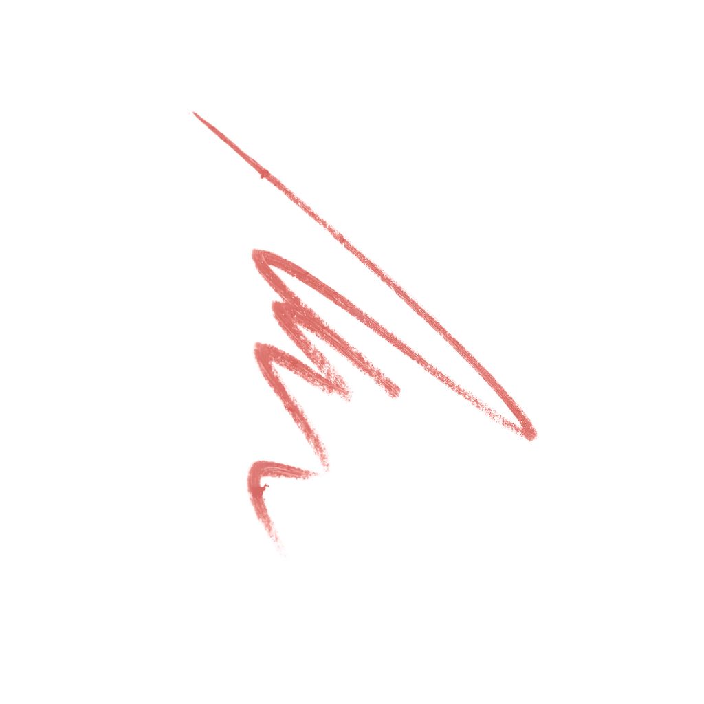 Ninelle Контурный карандаш для губ Danza, 202 коралловый  фото 3