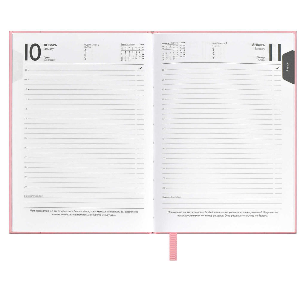 Ежедневник датированный 2024 ESCALADA, А6+, 176 л., арт. 63798/ 20 ПЛОНЖЕ ЭКОНОМ РОЗОВЫЙ  фото 9