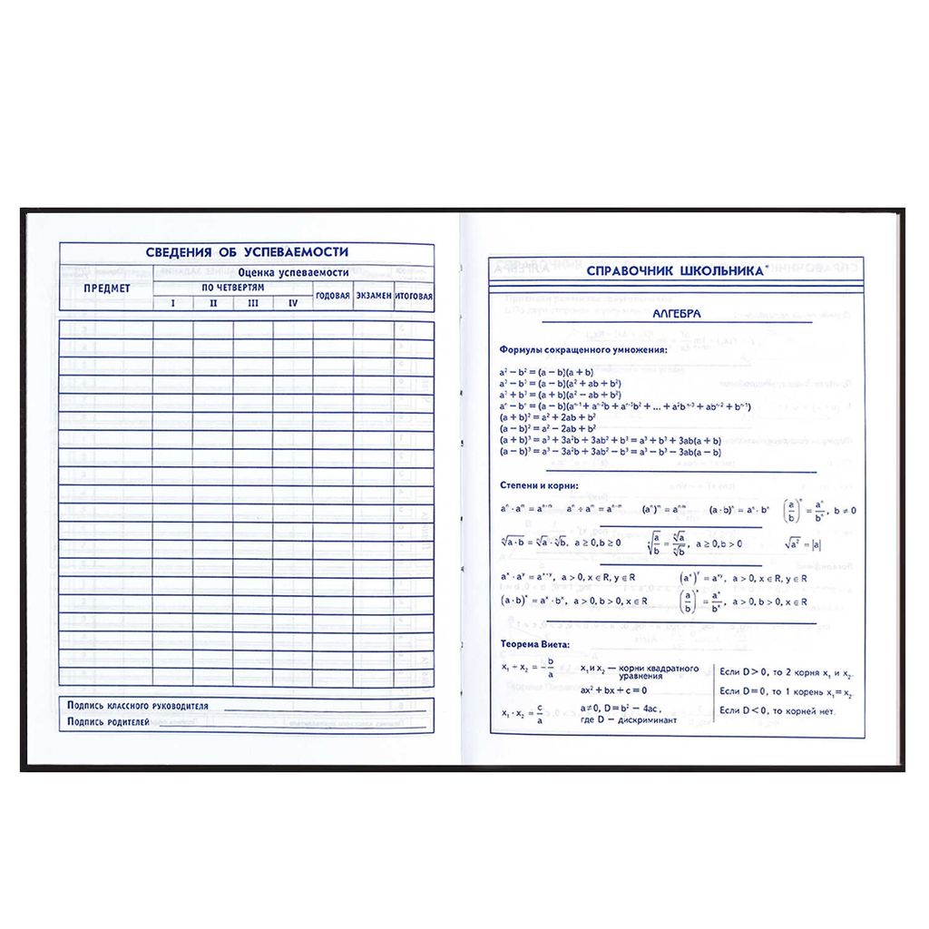 Дневник школьный 5-11 класс арт. 60095 СКЕЙТ АРТ - Феникс+ фото 9