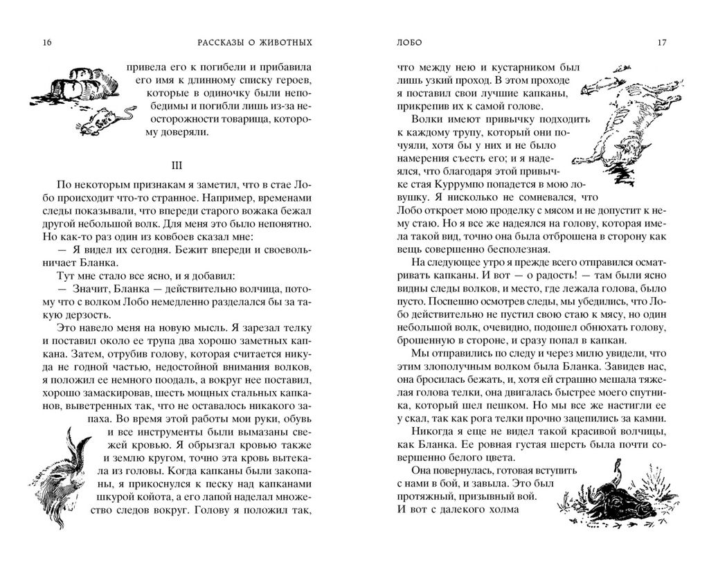 Рассказы о животных. Сетон-Томпсон Э. - Азбука фото 4