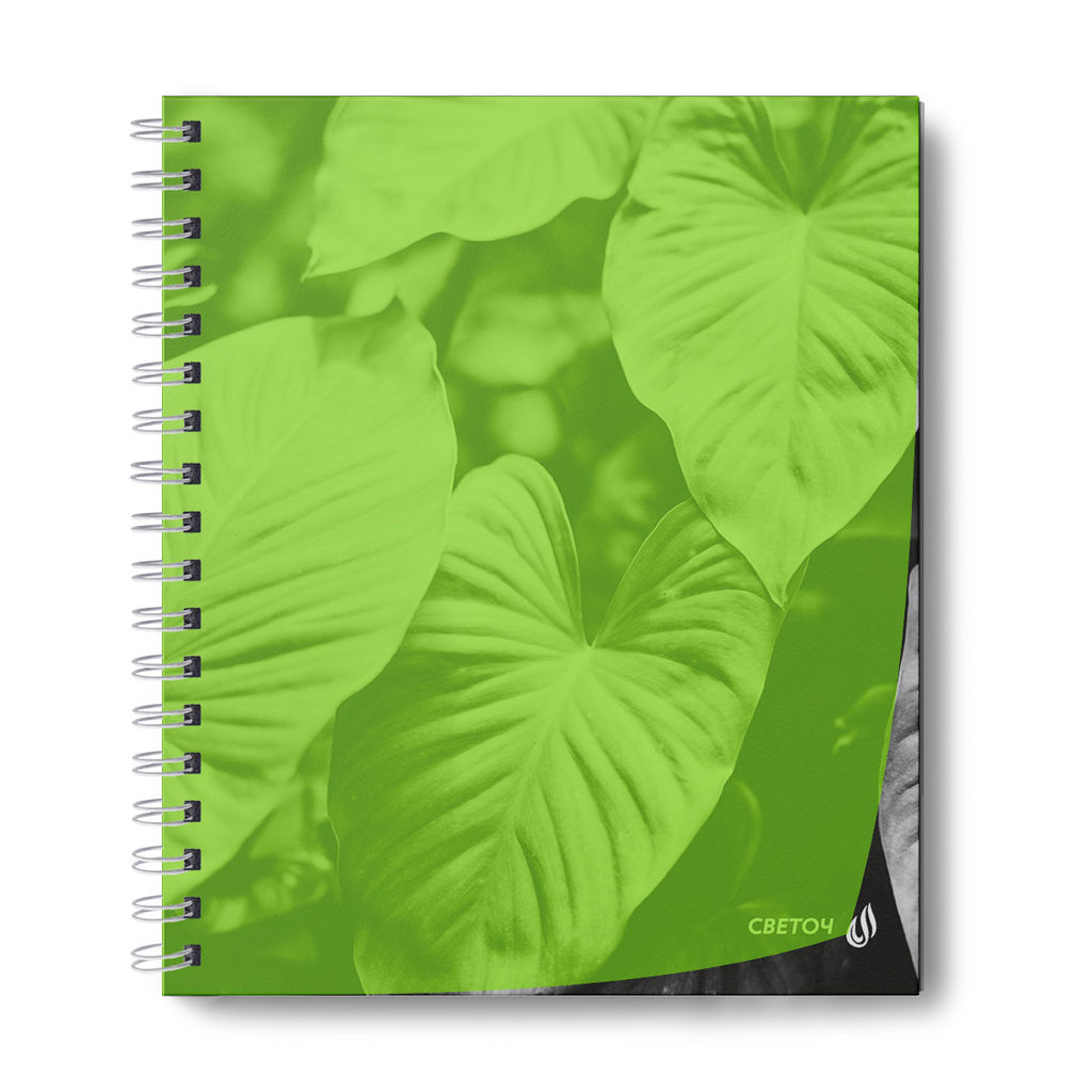 Светоч Т208 Тетрадь общая с пластик. обложкой, ч/б запечат. титульн.лист, 180 мкм., A5 48 л. на гребне 65 г/кв.м , белизна 100 % 4 шт. клетка 01546 Тайны природы, лайм  фото 3