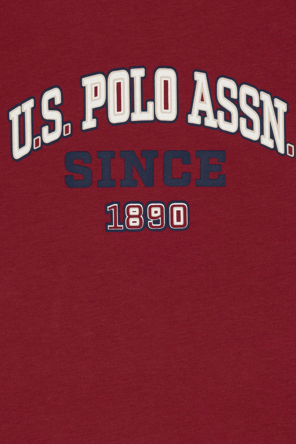 Erkek _ocuk Vi_ne Ti__rt Sepette S_rpriz _ndirim - U.s. polo assn фото 3