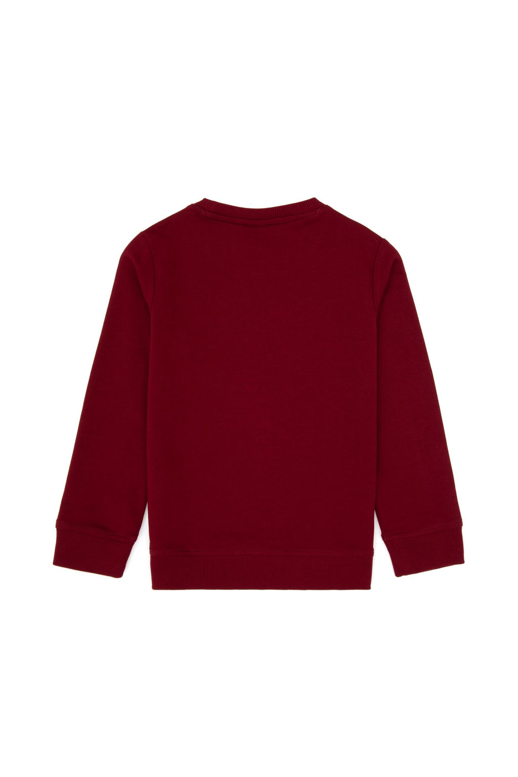 Erkek _ocuk Bordo Bisiklet Yaka Sweatshirt Sepette S_rpriz _ndirim - U.s. polo assn фото 2