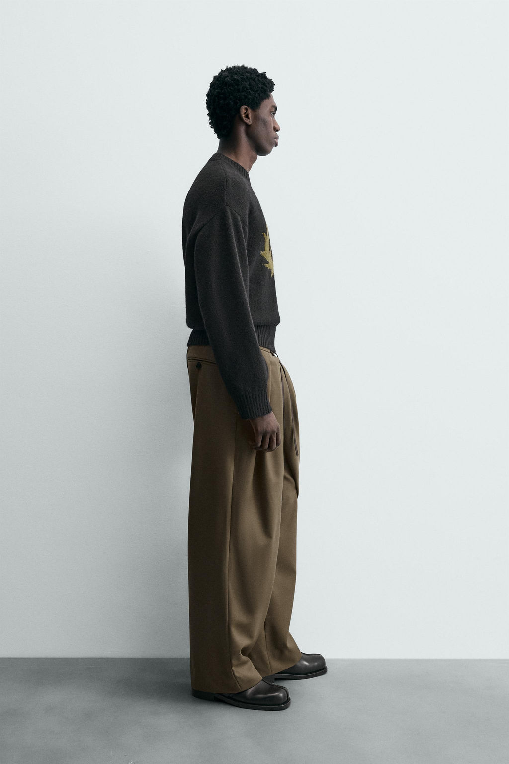 LIMITED EDITION JACQUARD THISTLE JUMPER - Zara фото 4