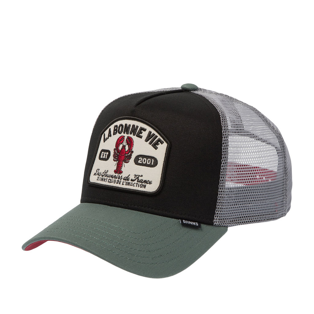 Бейсболка DJINNS арт. HFT La Bonne Vie (черный / серый)