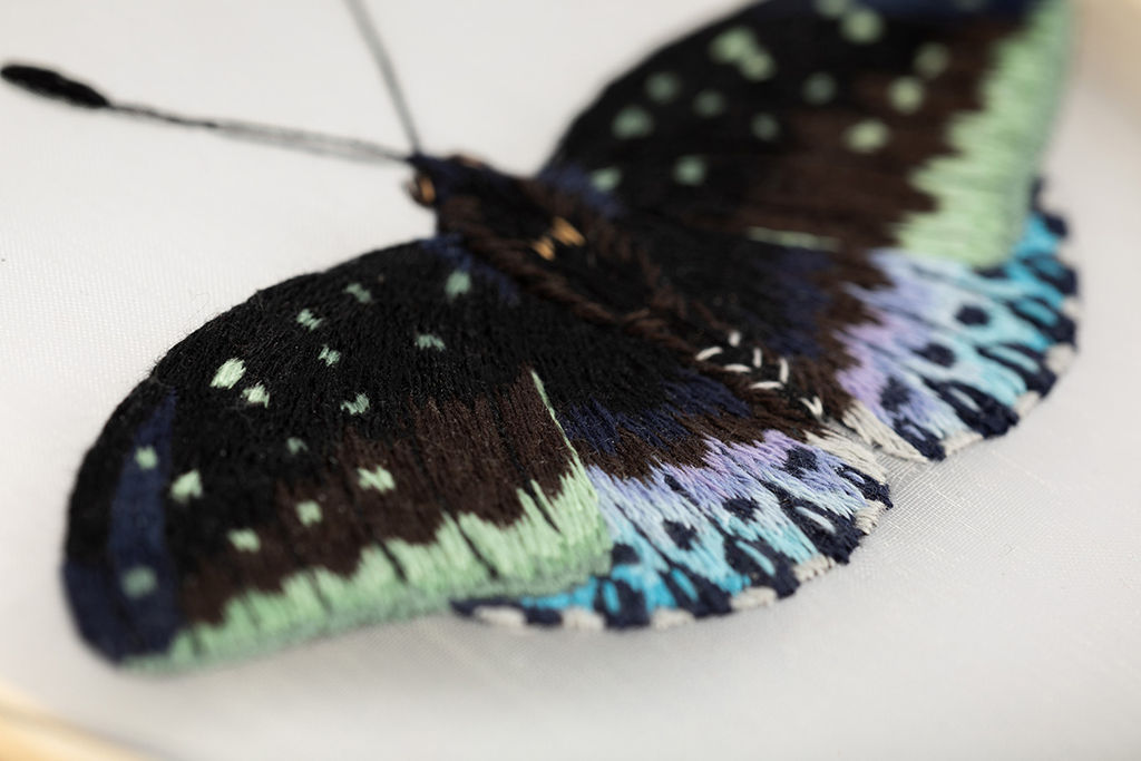 Набор для вышивания PANNA Живая картина JK-2256 Бабочка. Эрцгерцог 13 х 13 см