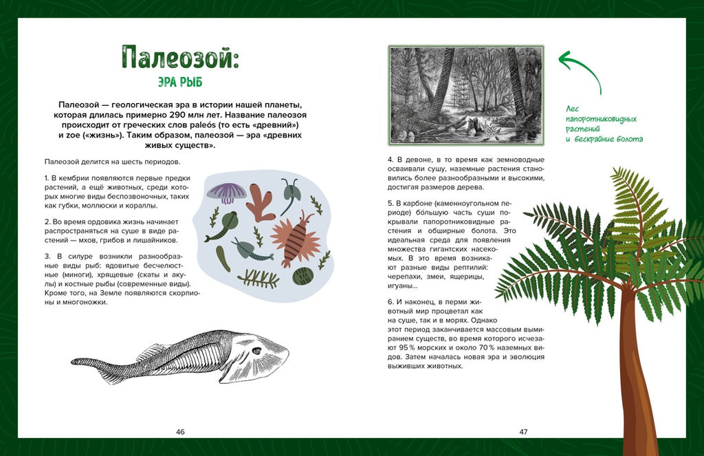 Царство динозавров. Дефур О. - Махаон фото 8