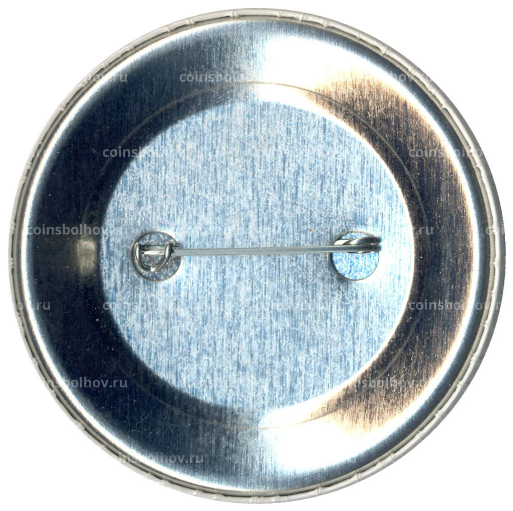 Значок Я выбрал Мэра!