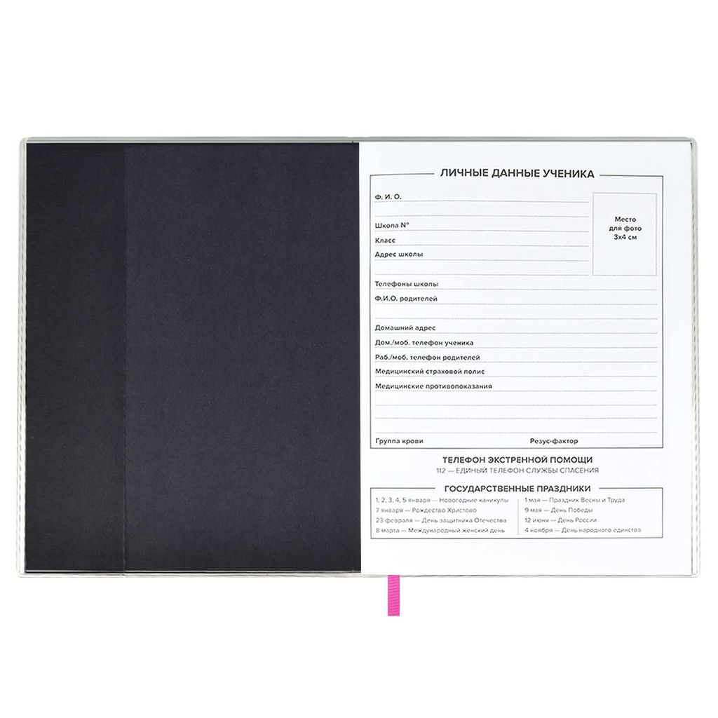 Дневник школьный арт. 58746 / 15 РАССВЕТ - Феникс+ фото 4
