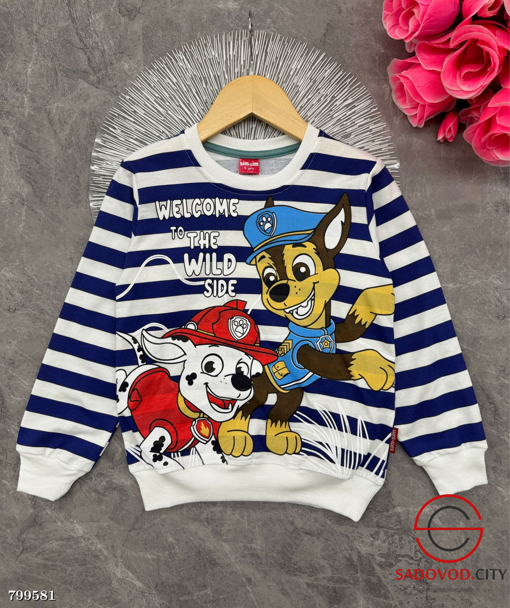 Кофта детская для мальчика