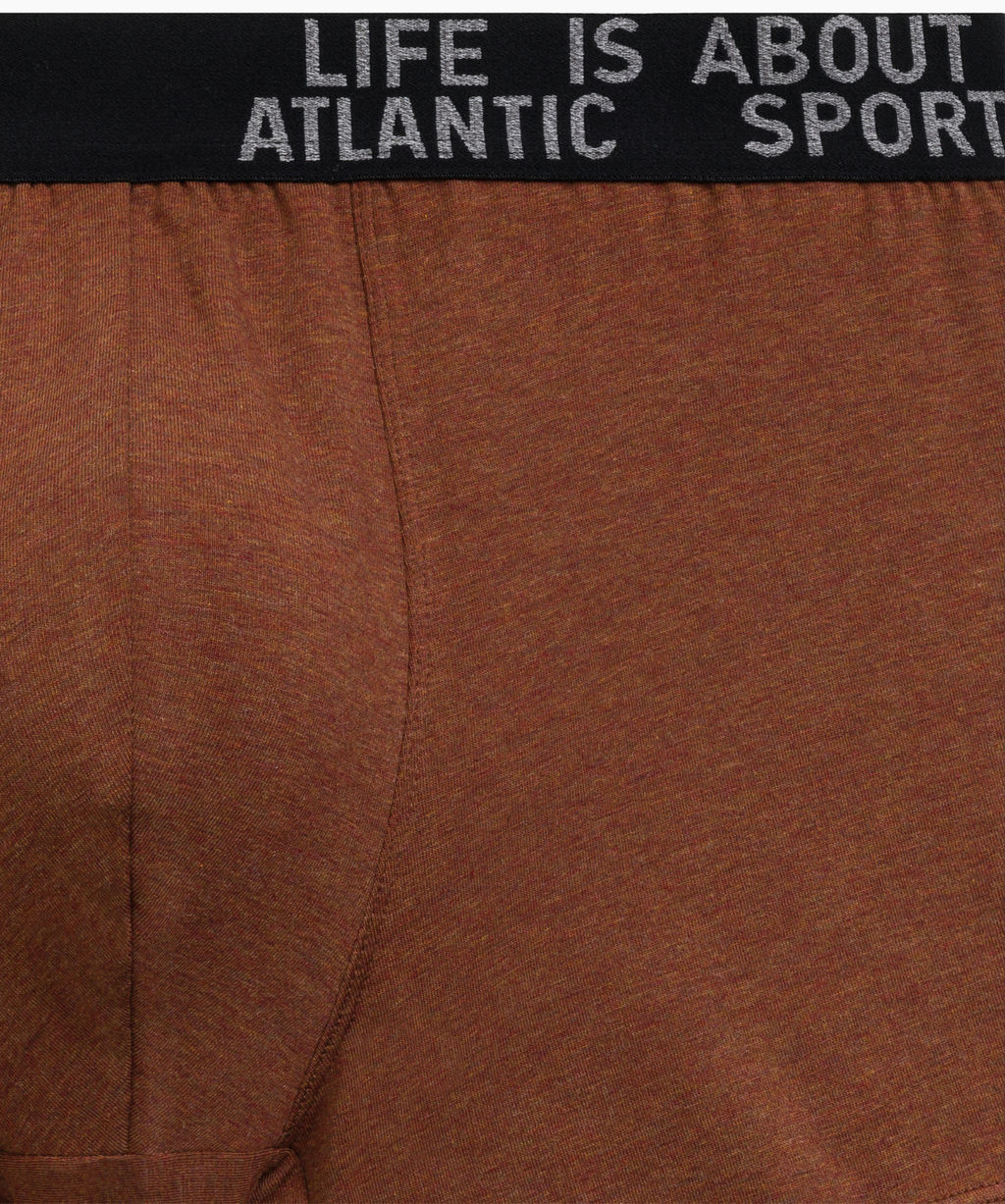 ATLANTIC 3MH-226 Трусы шорты Melange - набор 3 шт. темно-серый меланж + медно-багряный меланж + коричневый меланж фото 5