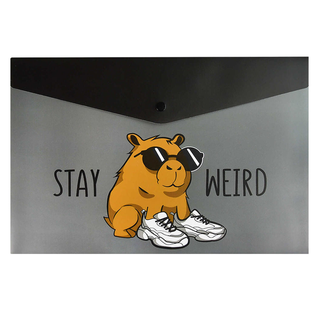 Цена за 2 шт.Папка для школьных тетрадей пластиковая Феникс+, арт. 69303/ 12 ЧУДНАЯ КАПИБАРА