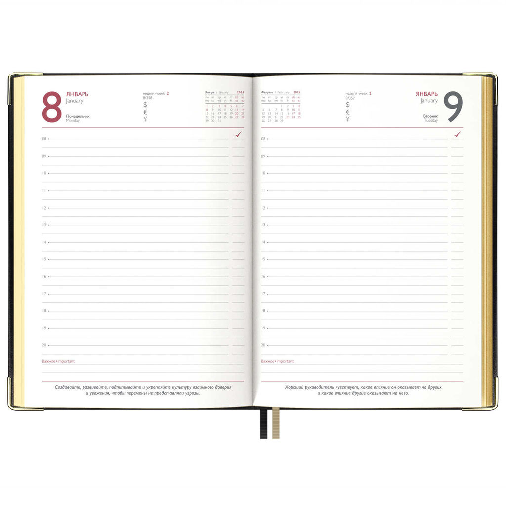 Ежедневник датированный 2024 ESCALADA, А5, 176 л., арт. 63768/ 15 САРИФ ЧЁРНЫЙ  фото 2